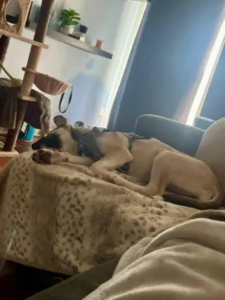 Luna