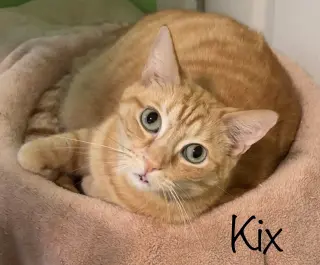 Kix