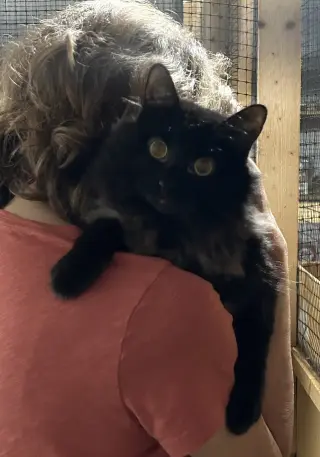 Serendipity