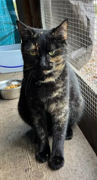 Lucy