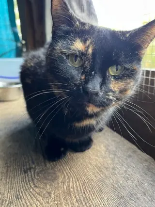 Lucy