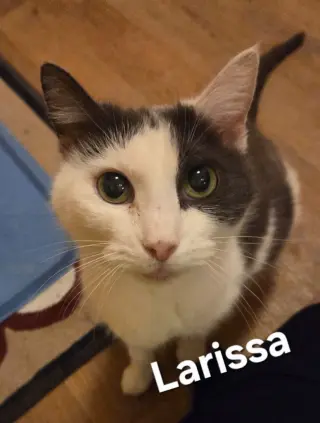Larissa