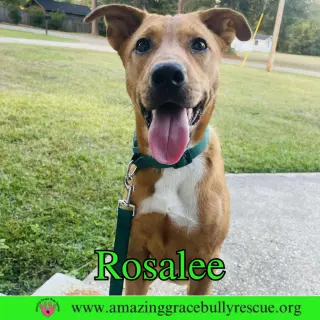 Rosalee