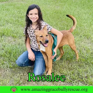 Rosalee
