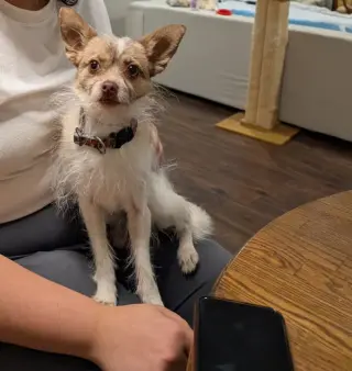 Tilly