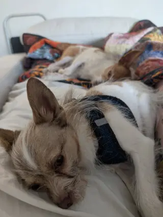 Tilly
