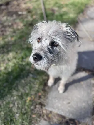 Ayla