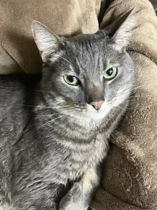 Raider