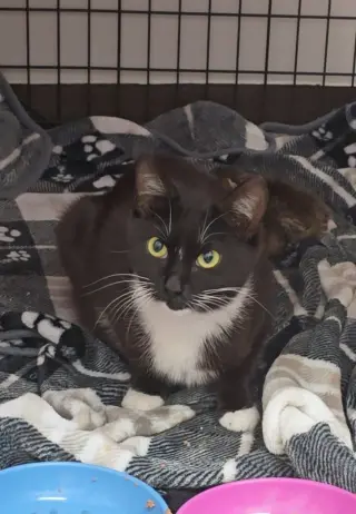 Libby
