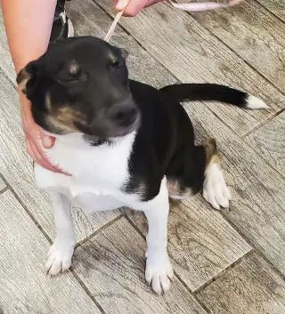 Xena
