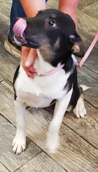 Xena