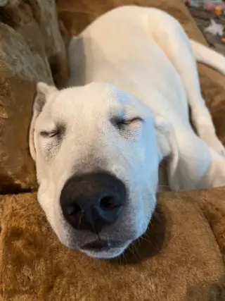 Barry