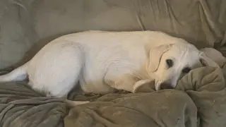 Barry