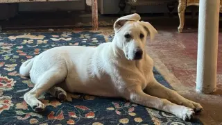 Barry