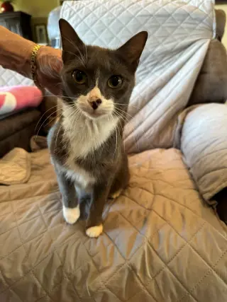 Morgan