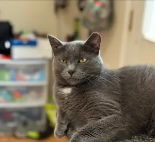 Luna