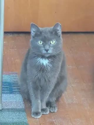 Luna