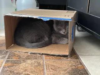 Luna