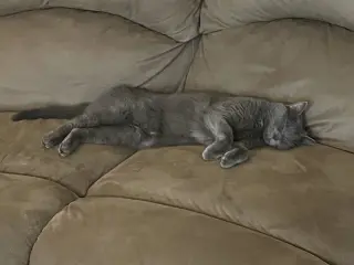 Luna
