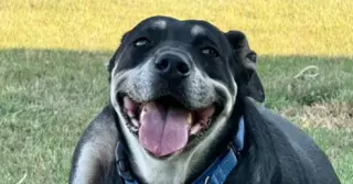 Precious