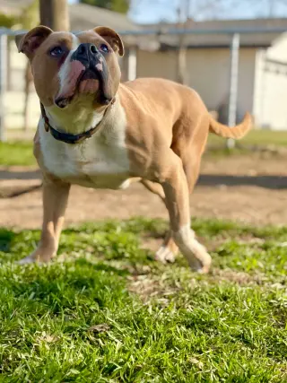 Kingston