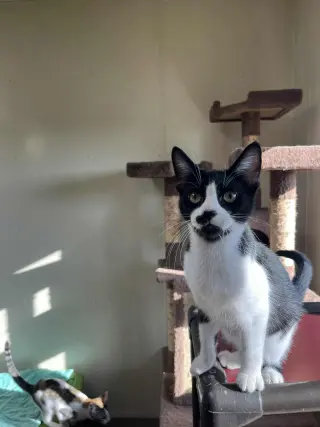 Eli