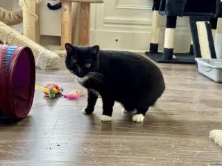 Ellie