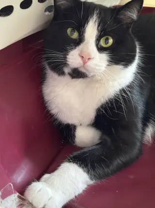Earl