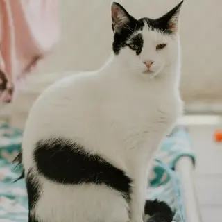Jeremy