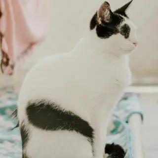 Jeremy