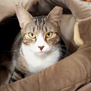 Lena