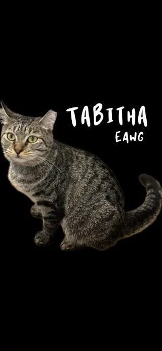Tabitha