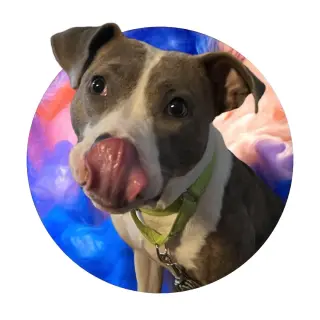 Casey