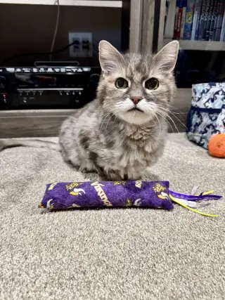 Ellie