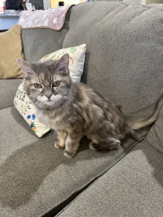 Ellie