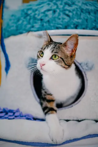 Mimzy