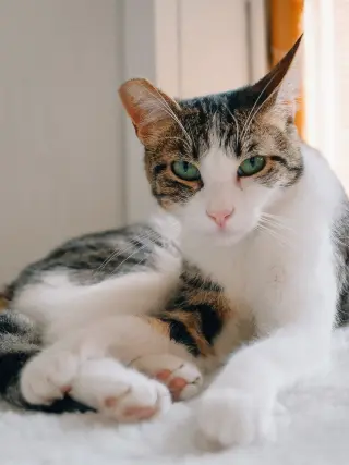 Mimzy
