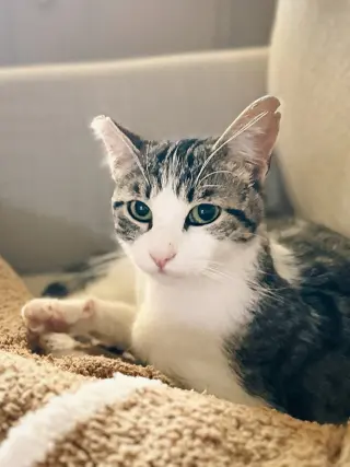 Mimzy