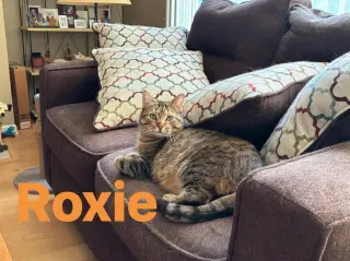 Roxie