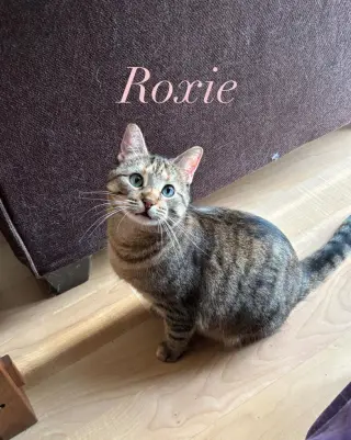 Roxie