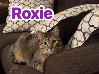 Roxie