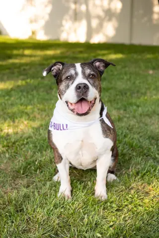 Doula