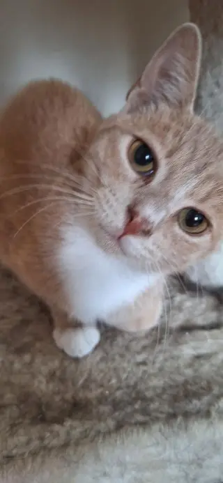 SAMMY