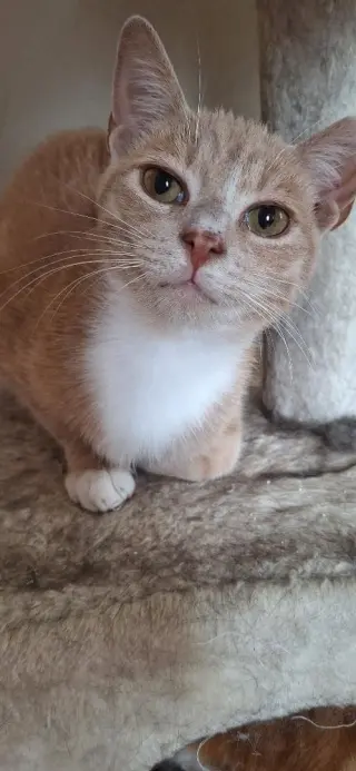 SAMMY