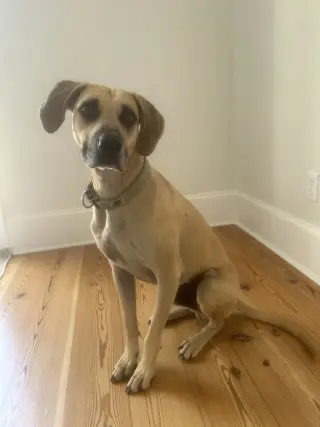 Winston