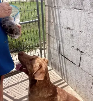 Tucker