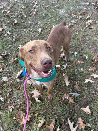Tucker
