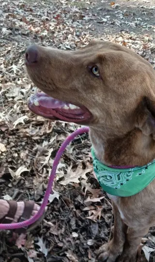 Tucker