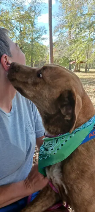 Tucker