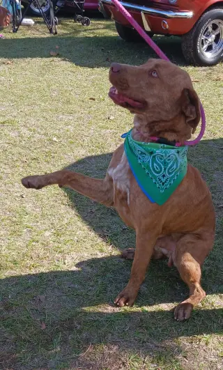 Tucker